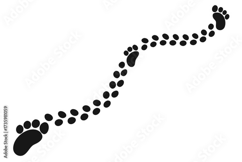 Black Paw Prints Following a Winding Trail Isolated on White Background, Animal Footprints Design