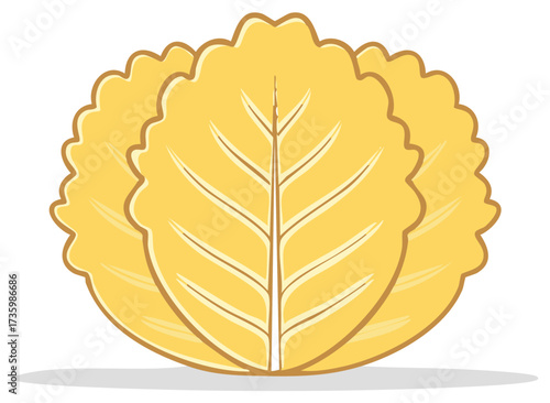 Napa Cabbage Cartoon Vegetable Illustration with Leaves and Stem