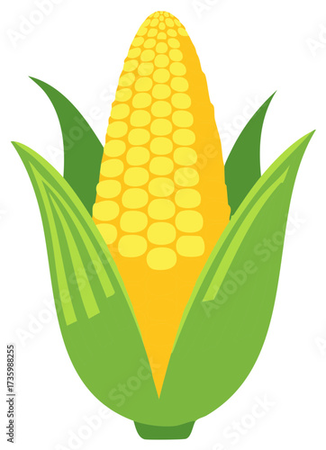 Vibrant Corn on the Cob Illustration with Green Husk Leaves - Maize Vector Art