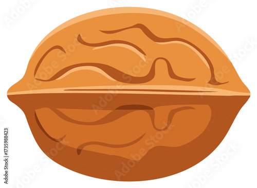 Stylized walnut illustration features a brown shell and distinctive ridges in a detailed and visually appealing close-up.