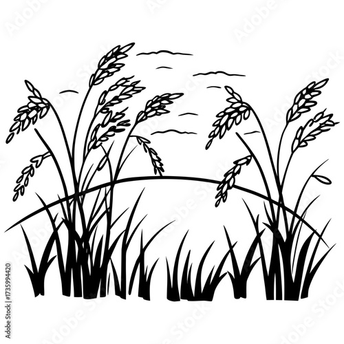 Hyper Realistic Golden Oat Stalks Illustration Botanical Grain Design for Organic Food, Packaging & Eco Branding.