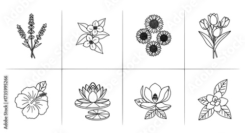 Floral Line Art Botanical Designs for Crafting & Decor