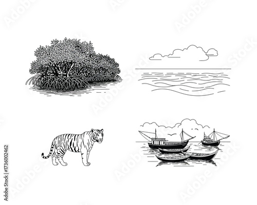 Collection of four detailed black and white ink sketches depicting natural scenes including a dense mangrove forest ocean waves under clouds a standing tiger and traditional boats