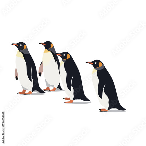 Four Emperor Penguins Standing Together.