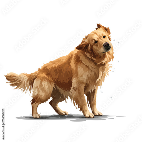 Golden Retriever Dog Standing Proudly.