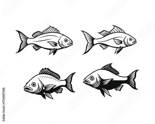 Four hand drawn sketch style illustrations of various fish species showcasing different poses and detail levels