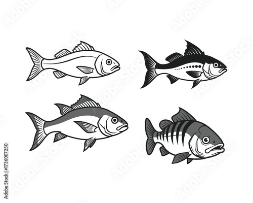 Collection of four hand drawn vintage style fish illustrations featuring different species in black and white sketch style