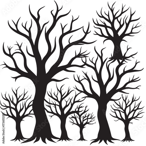 Silhouette of bare trees in the forest scene