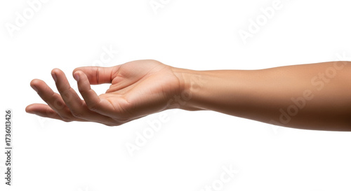 Tableau sur toile Isolated, open hand offering something