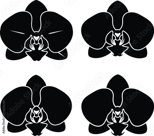 Four black orchid flowers in a minimalist floral arrangement