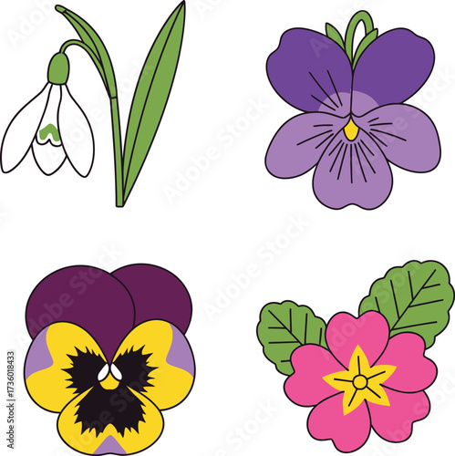 Four colorful spring flowers in a botanical illustration style