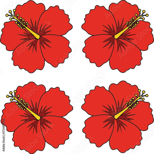 Four red hibiscus flowers with vibrant petals and detailed stamens in a tropical arrangement