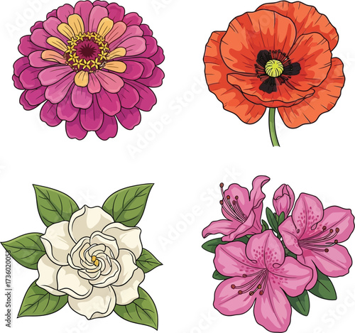 Collection of hand-drawn flowers including zinnia, poppy, gardenia, and azalea
