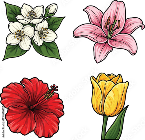 Collection of hand-drawn flowers including jasmine, lily, hibiscus, and tulip