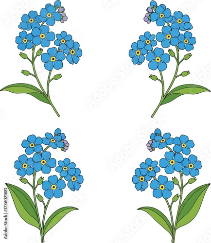 Four forgetmenot flowers in a symmetrical floral arrangement