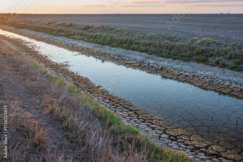 Irrigation canal in Doñana National Park during summer drought