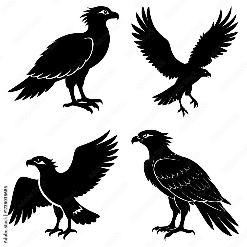 Fototapeta premium Silhouette illustration of four eagles in different poses standing and flying with spread wings displayed