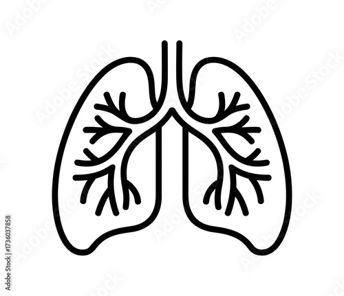 Stylized illustration of healthy human lungs and respiratory system