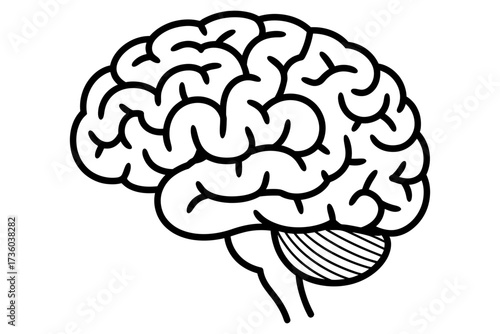 Stylized line drawing of a human brain, symbolizing thought and intelligence