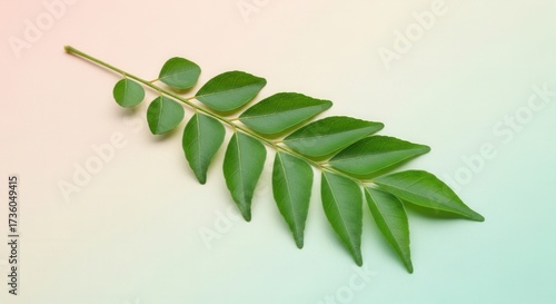 A vibrant green sprig featuring numerous small leaves rests on a smooth gradient background shifting from soft pink to light green