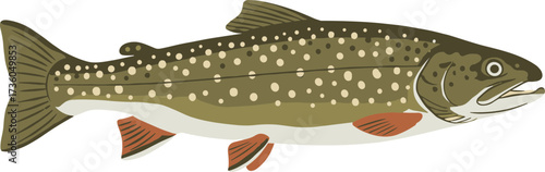 Simple Graphic Brook Trout Side View Wildlife Aquatic Illustration