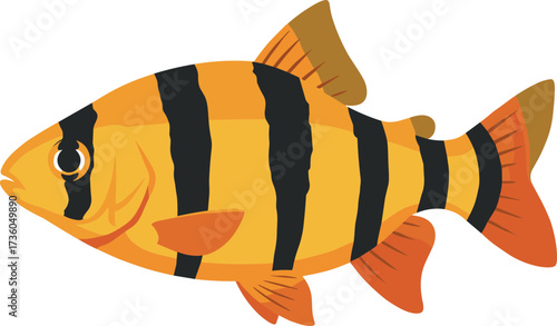 Flat Graphic Tiger Barb Freshwater Aquarium Pet Illustration Animal