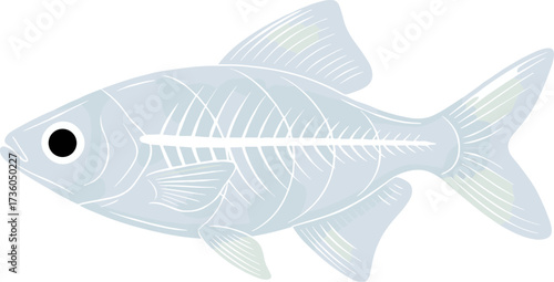 Simple Artistic Style Fish Skeleton Biology Science Element Illustration