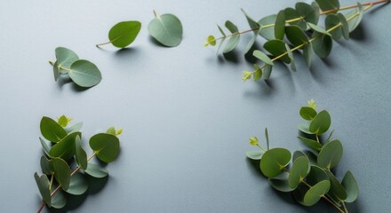 Green eucalyptus leaves and branches arranged on a textured grayish-blue background framing a central space