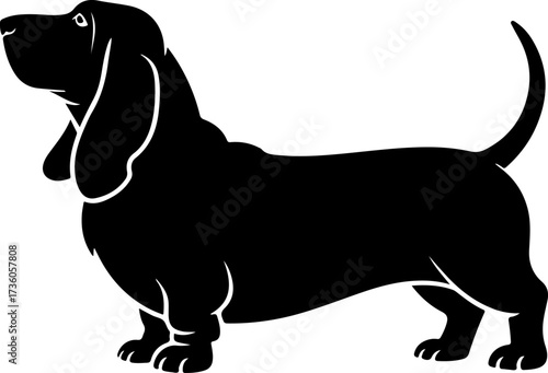 Basset Hound silhouette vector illustration