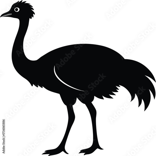 Vector art of silhouette of an emu bird standing design, Black and white Ostrich bird vector silhouette illustration