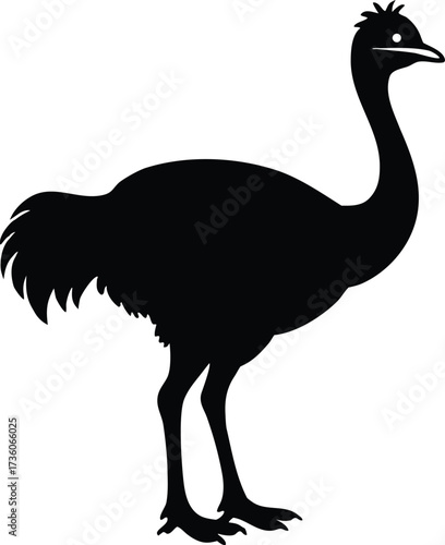 Vector art of silhouette of an emu bird standing design, Black and white Ostrich bird vector silhouette illustration