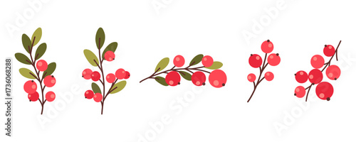 : Flat cartoon illustration of red rowan berry branches with green leaves isolated on white