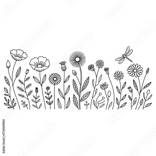 black wildflower field