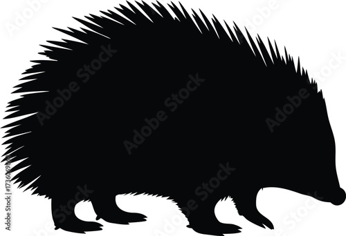 Hedgehog Silhouette Vector Clipart, Cute Hedgehog Side View Silhouette Vector, Minimalist Hedgehog Vector Silhouette on White Background.