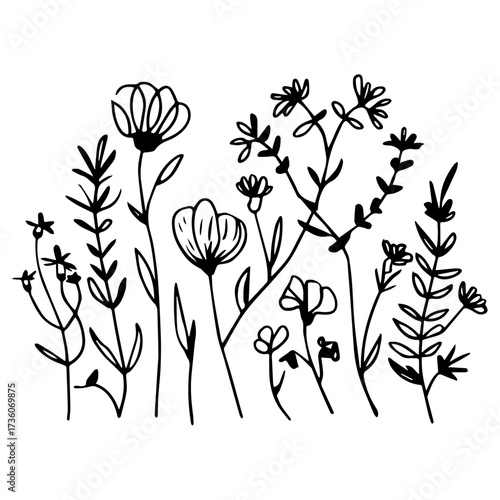 set black wildflowers
