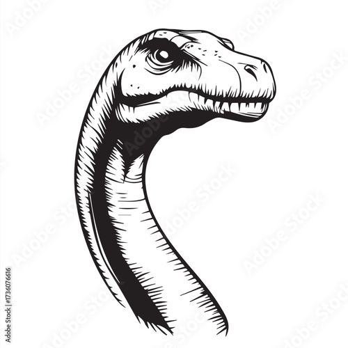 vector illustration of a brontosaurus head