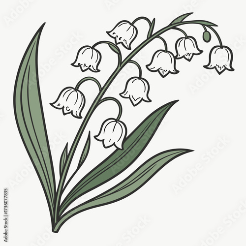 Delicate illustration of lily of the valley flowers with green leaves and bell shaped white blossoms on a light background