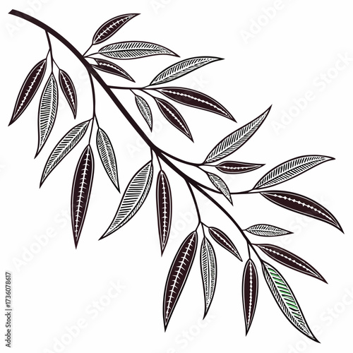 Stylized dark branch with elongated leaves featuring intricate line art patterns and a touch of green on white background