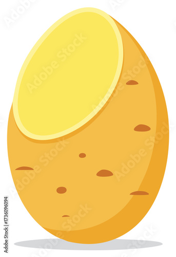 Cartoon illustration of a fresh potato cut open, vector