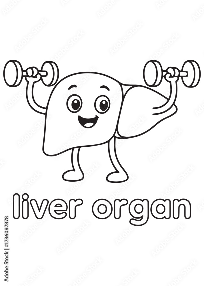 Fototapeta premium coloring book liver organ lifting dumbbells, exercise anatomy cartoon for kids