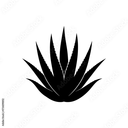 aloe vera icon black silhouette vector illustration on transparent background