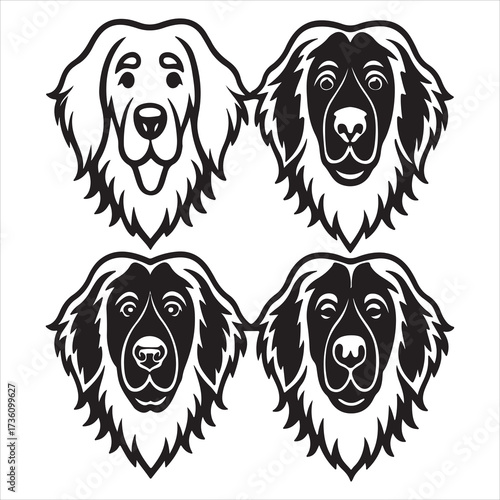 A Massive Canadian Newfoundland Working Dog, a Gentle Giant Nanny Dog Breed with a Heavy Double Coat, Famous for Loyalty and Water Rescue Abilities