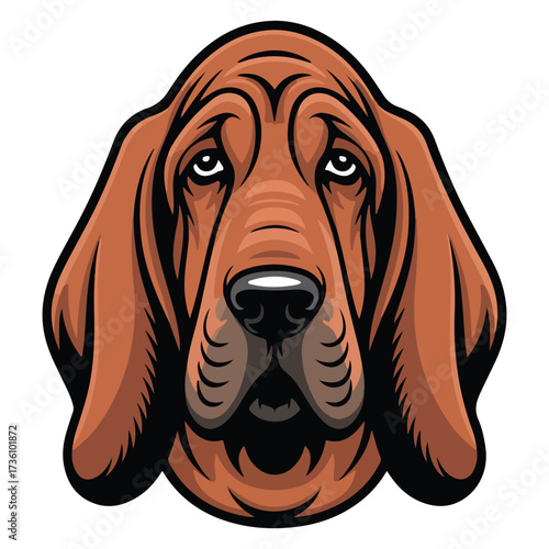 Cartoon Bloodhound Dog Head Vector