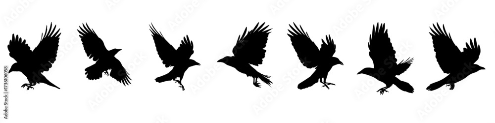 Obraz premium Set of creepy vector silhouettes of flying crows on a white background. Halloween clipart for posters, banners, invitations and holiday decorations