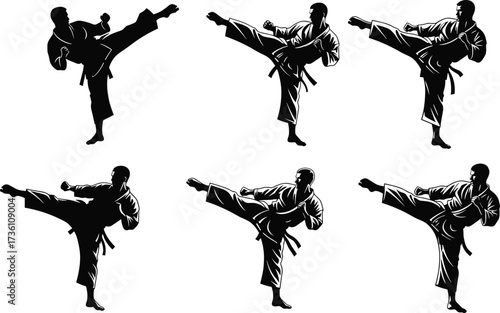 Martial arts silhouettes, karate taekwondo high kick poses, combat sport training, athlete performance, dynamic movement, strength discipline illustration
