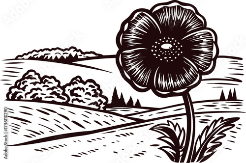 Hand drawn poppy flower in countryside field landscape with trees and rolling hills, black and white illustration