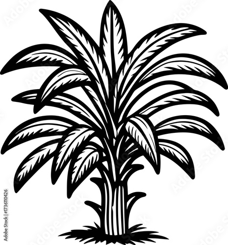 Hand drawn sugarcane plant isolated on white background vintage botanical black ink illustration