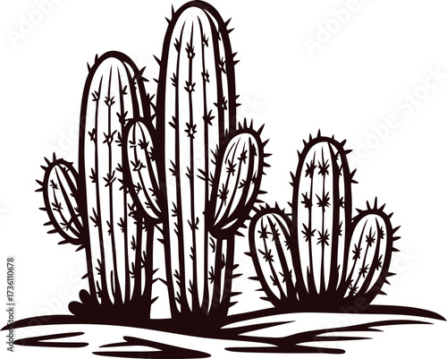 Hand drawn cactus illustration isolated on white background vintage engraving desert plant sketch art