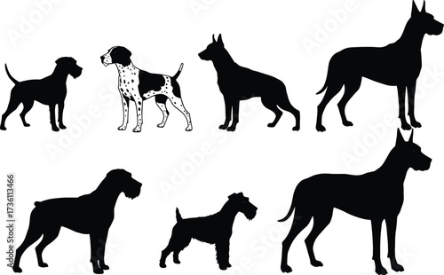 Dog breeds silhouettes, Great Dane, Pointer, Terrier, Schnauzer, canine vector set, pet illustration, animal clipart, dog shapes, breed collection, family pets