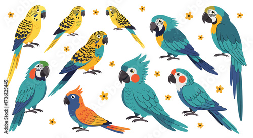 Collection of various colorful parrots and budgies sitting on white background.